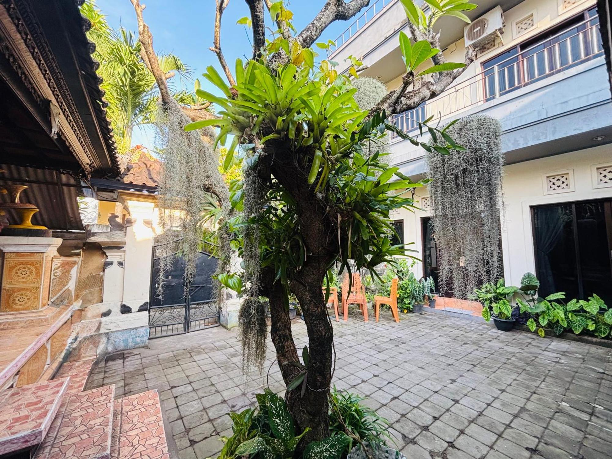 Mama Mega Homestay Pesanggaran Ngoại thất bức ảnh